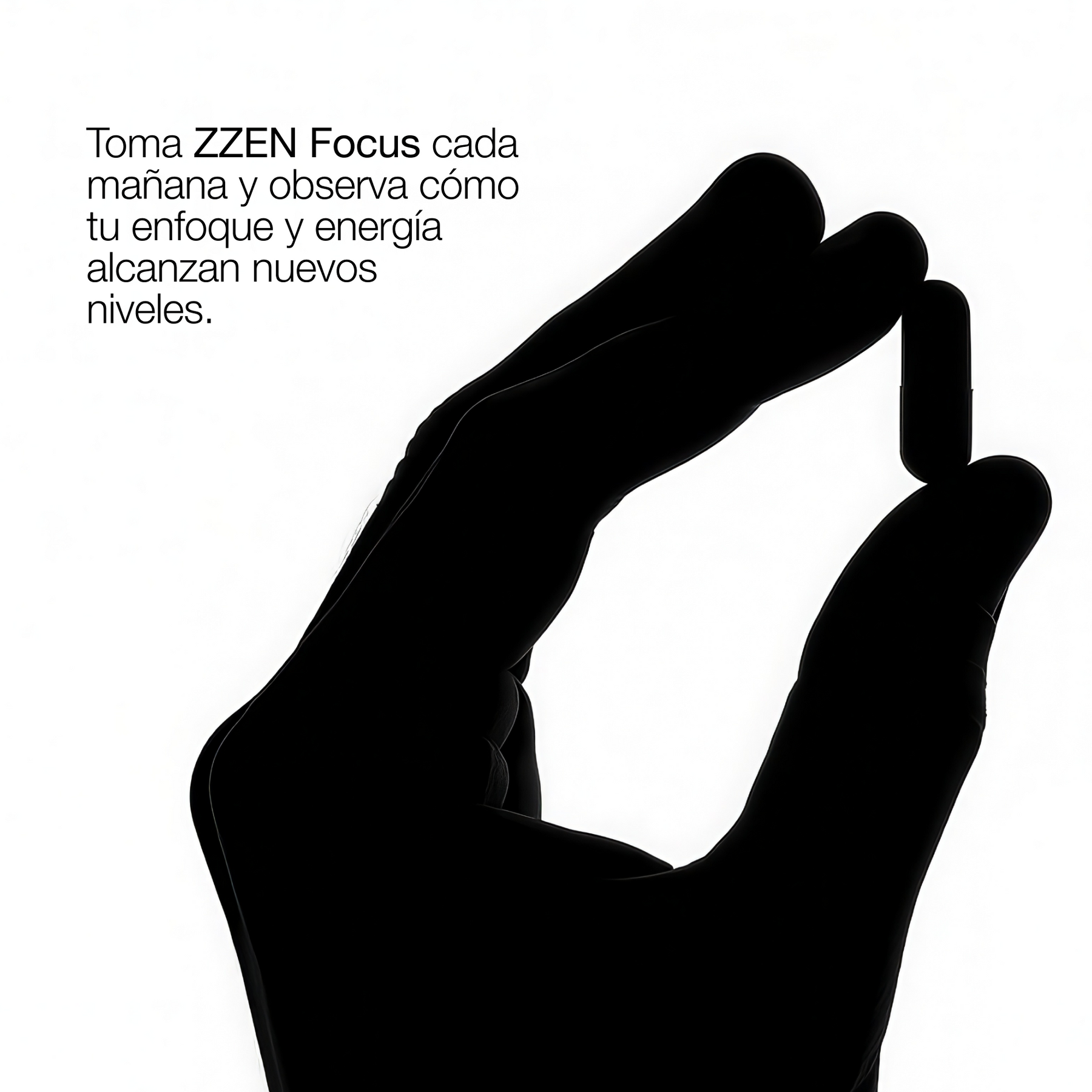 ZZEN FOCUS | Nootrópico Natural