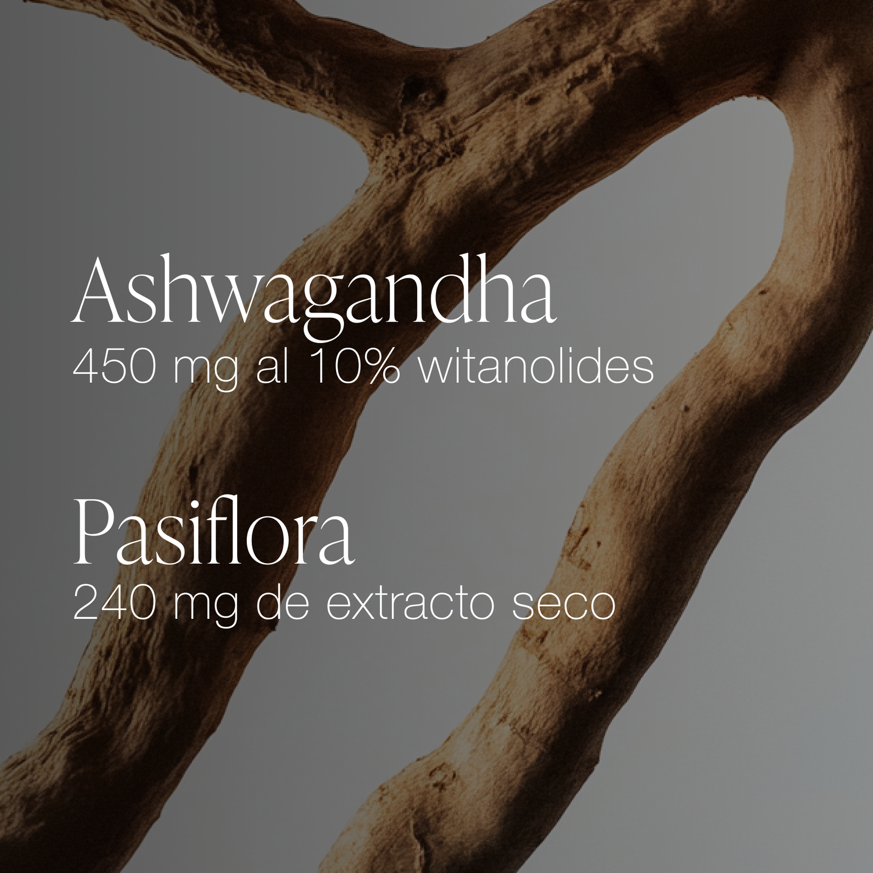 ZZEN CALM | Ashwagandha